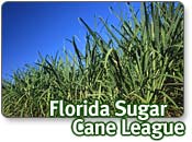 Florida Sugar Cane League